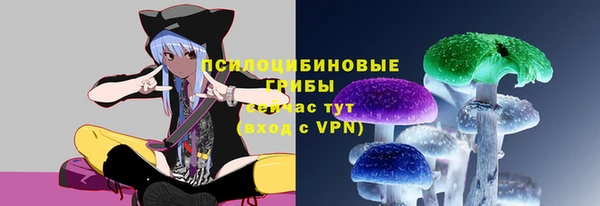 прущие грибы Алексин