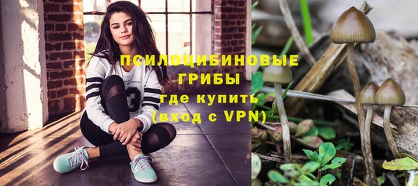 прущие грибы Алексин